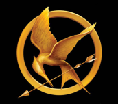 Jak dobře znáš film Hunger Games?