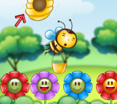 Bee Amass