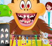 Hra - Animals Dentist