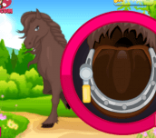 Hra - Horse Grooming 3