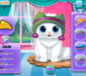 Hra - The Baby Kitten Care And Dressup