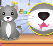 Hra - Kitty Grooming Salon 2